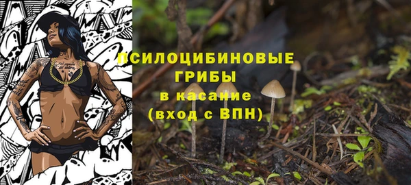 spice Балахна