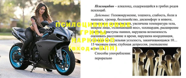 spice Балахна