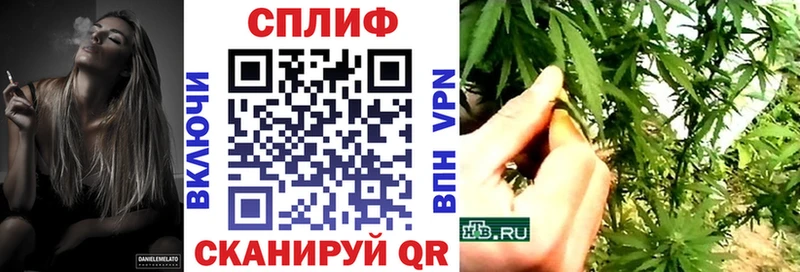 где продают наркотики  Гатчина  Бошки Шишки Amnesia 